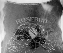 Rosebud - Citizen Kane